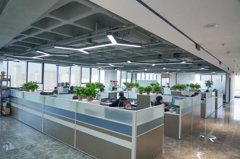 软件定制开发：企业成长的引擎